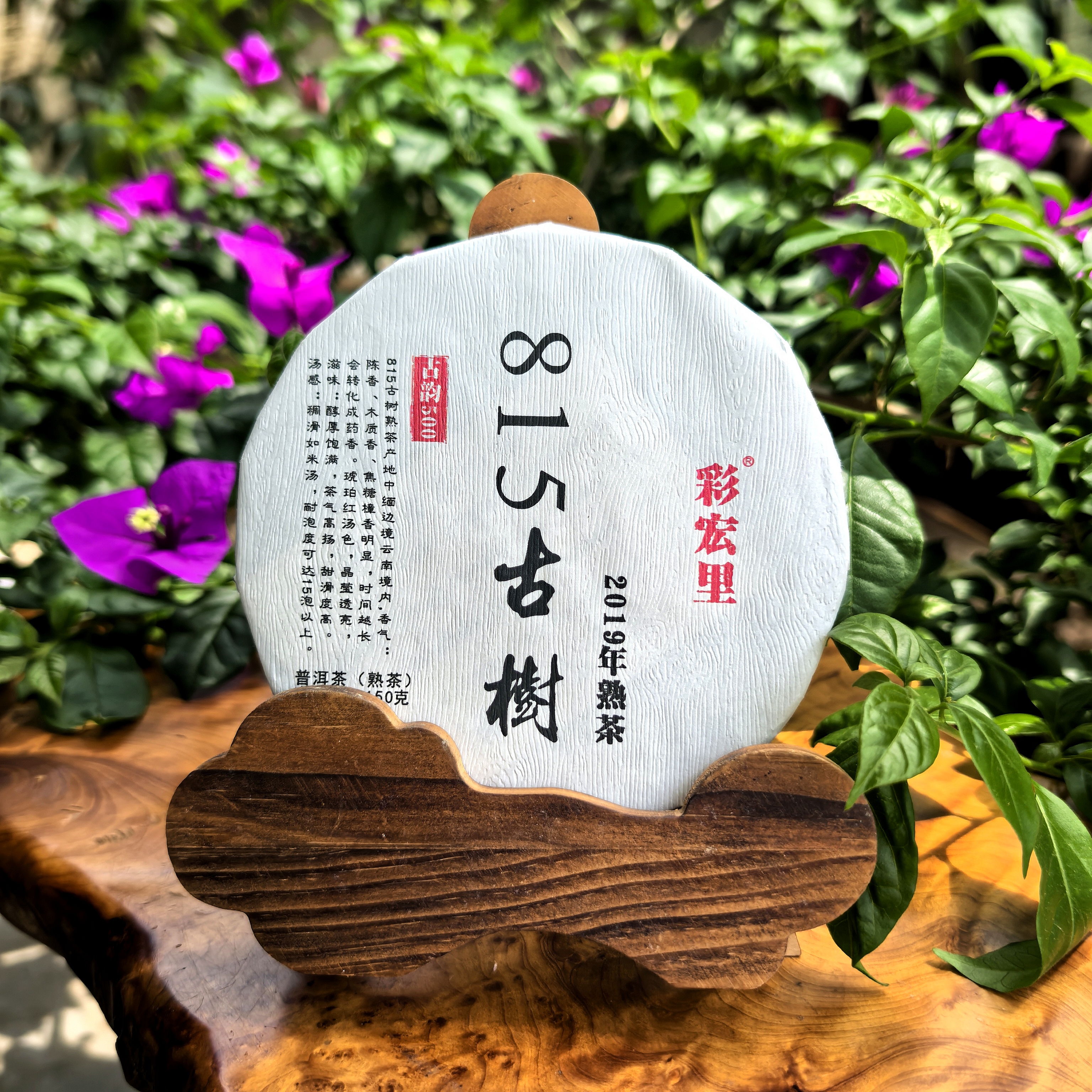 彩宏里 815古树熟茶2019樟香陈香琥珀红茶汤醇厚饱满无异杂味