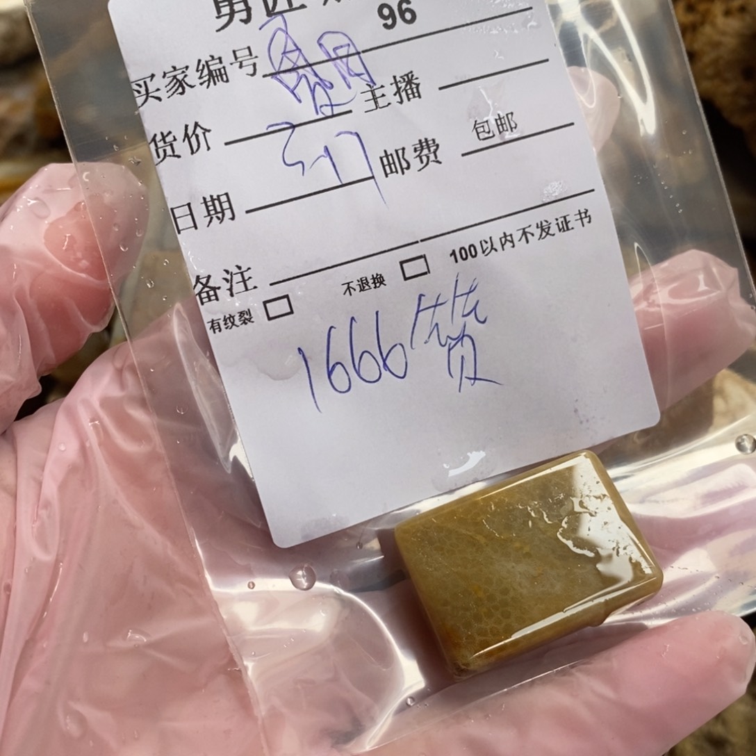 【闪购商品】硅化玉颈饰未镶嵌夏**志