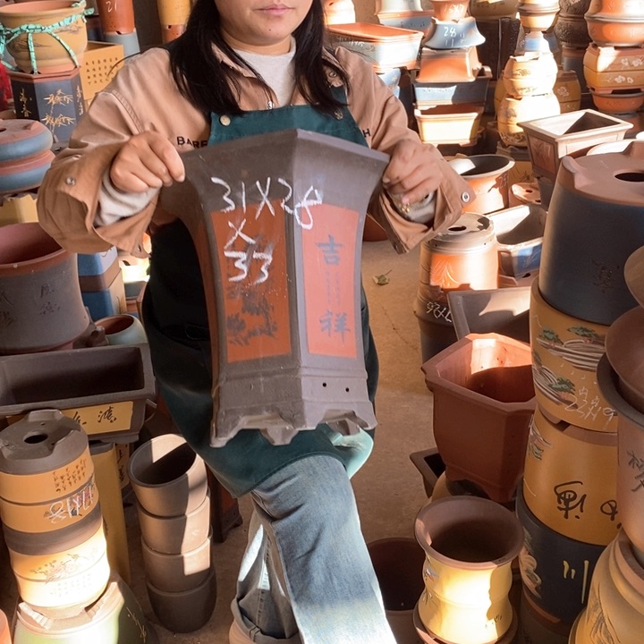 紫砂花盆盆栽花卉苗木种植