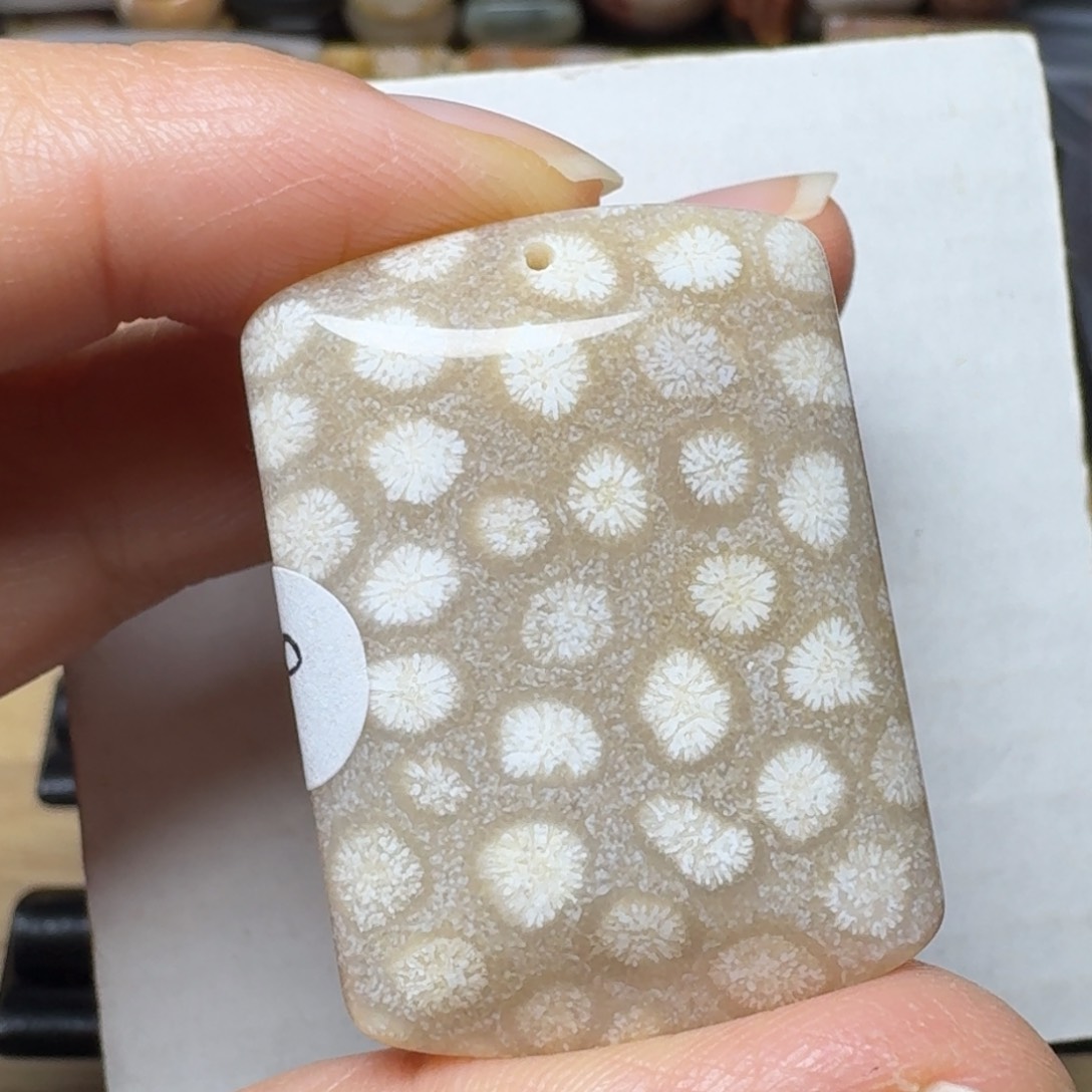 硅化玉白花未镶嵌