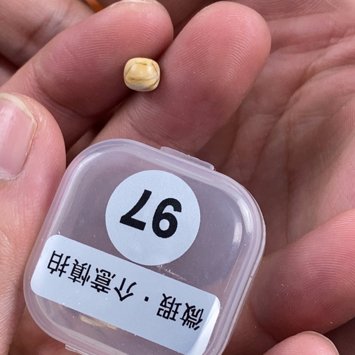 未镶嵌琥珀珠宝奇石