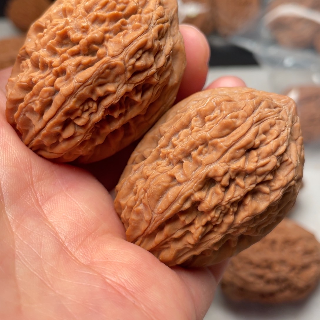 大叶紫檀（黑酸枝木类）大蒜头35尺