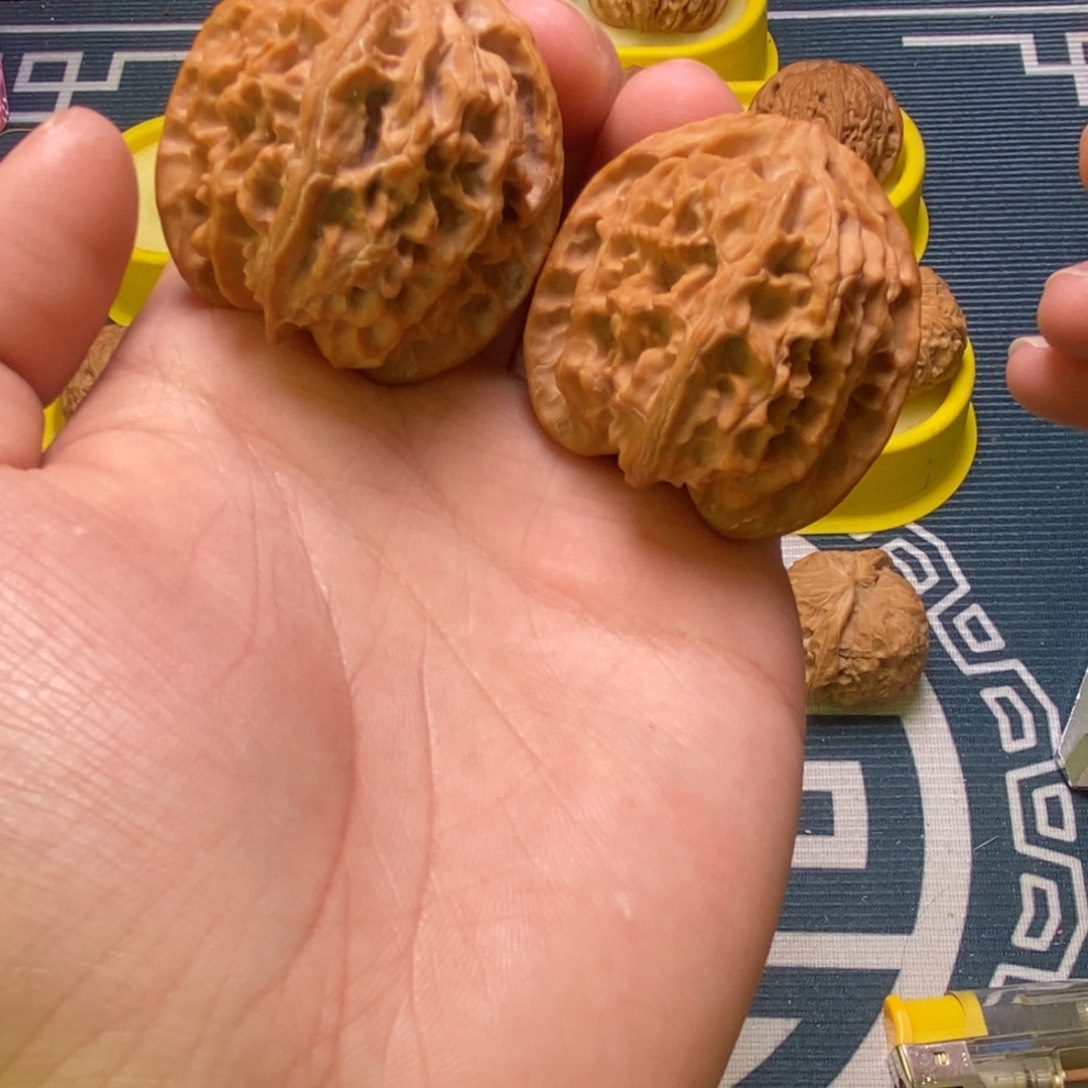 40尺全品苹果园白茬