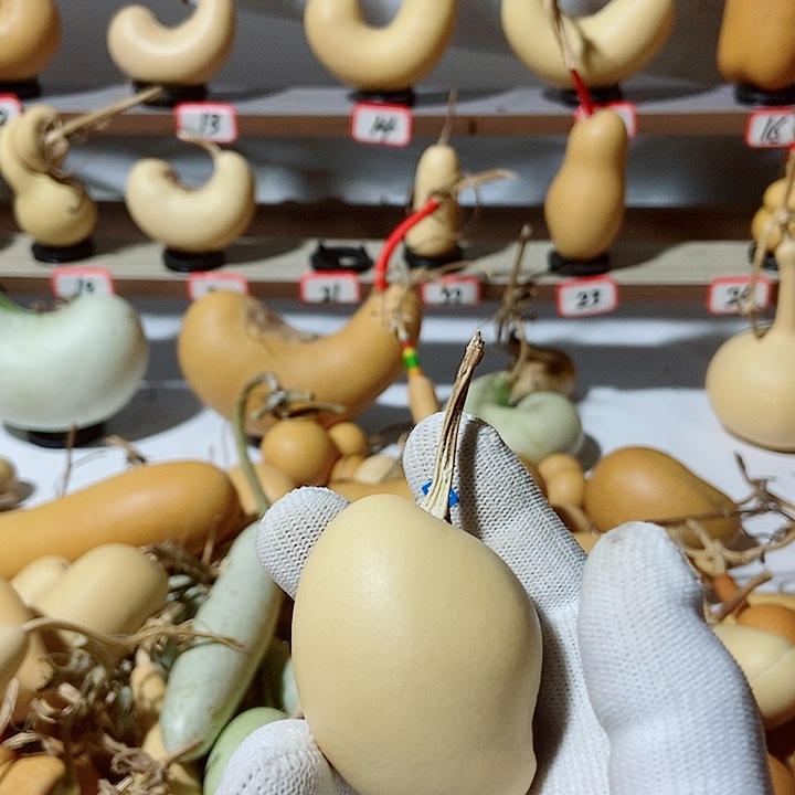 十***画直播间里的拍品链接