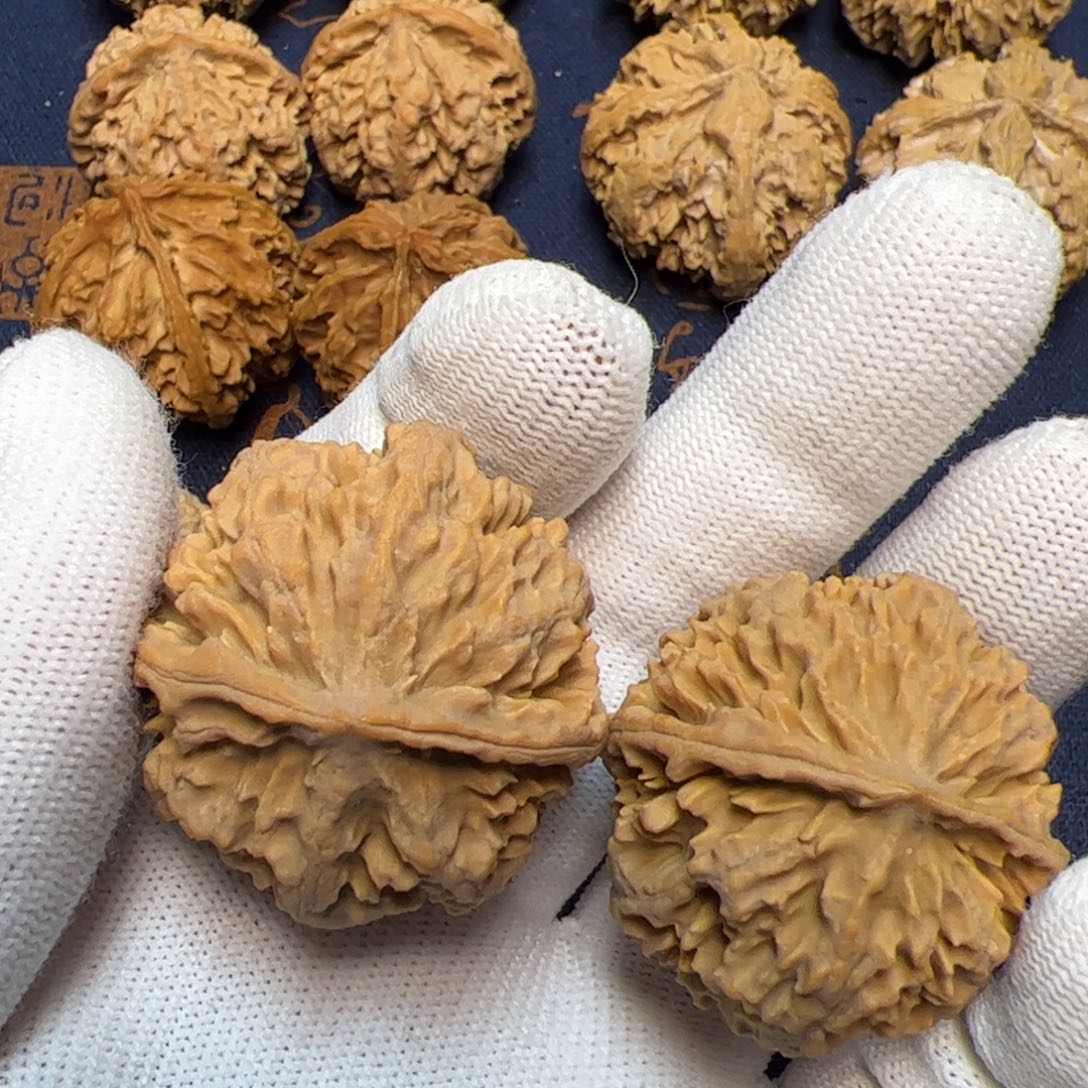 文玩核桃把件秦岭野生植物核桃