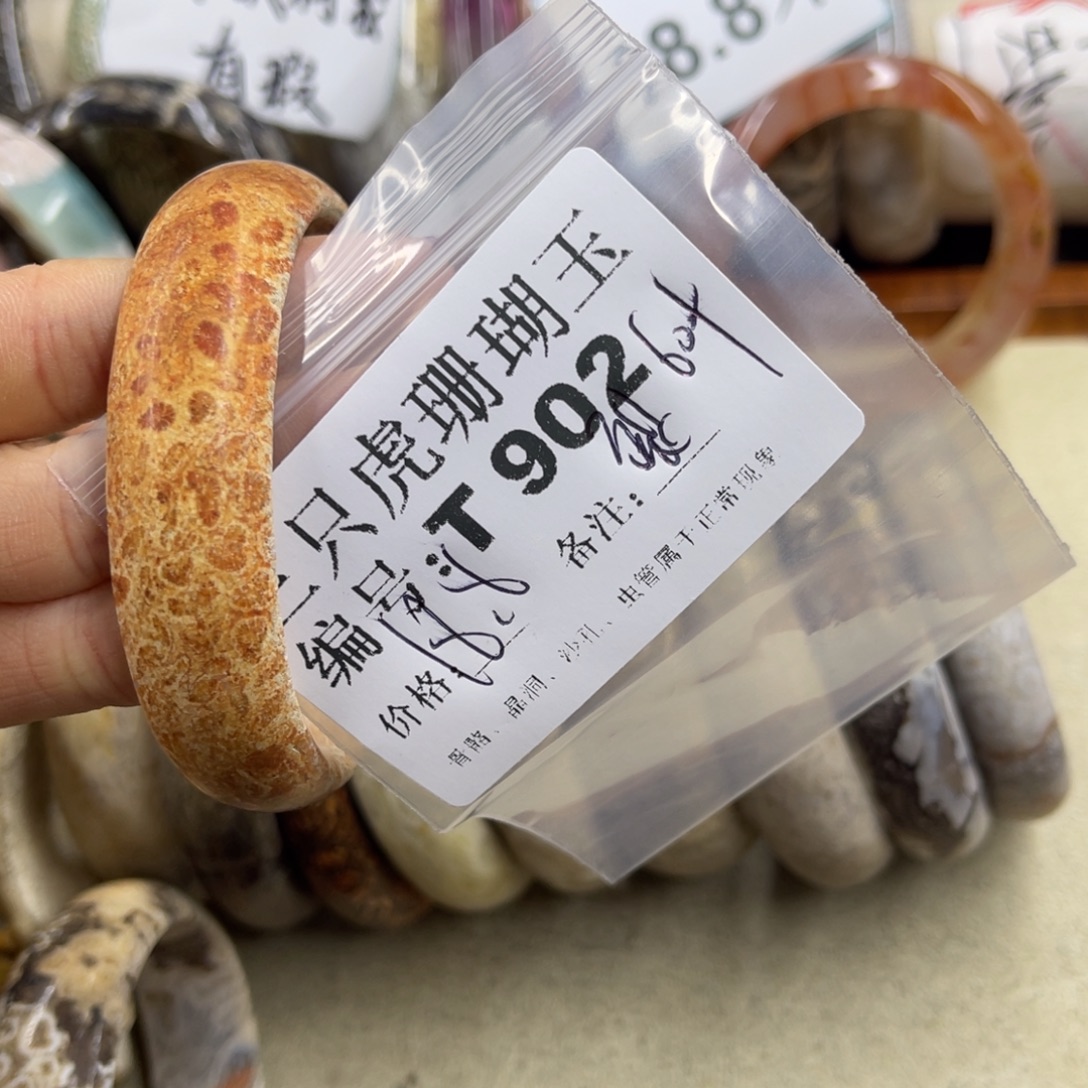 捕***鱼硅化珊瑚（珊瑚玉）未镶嵌h