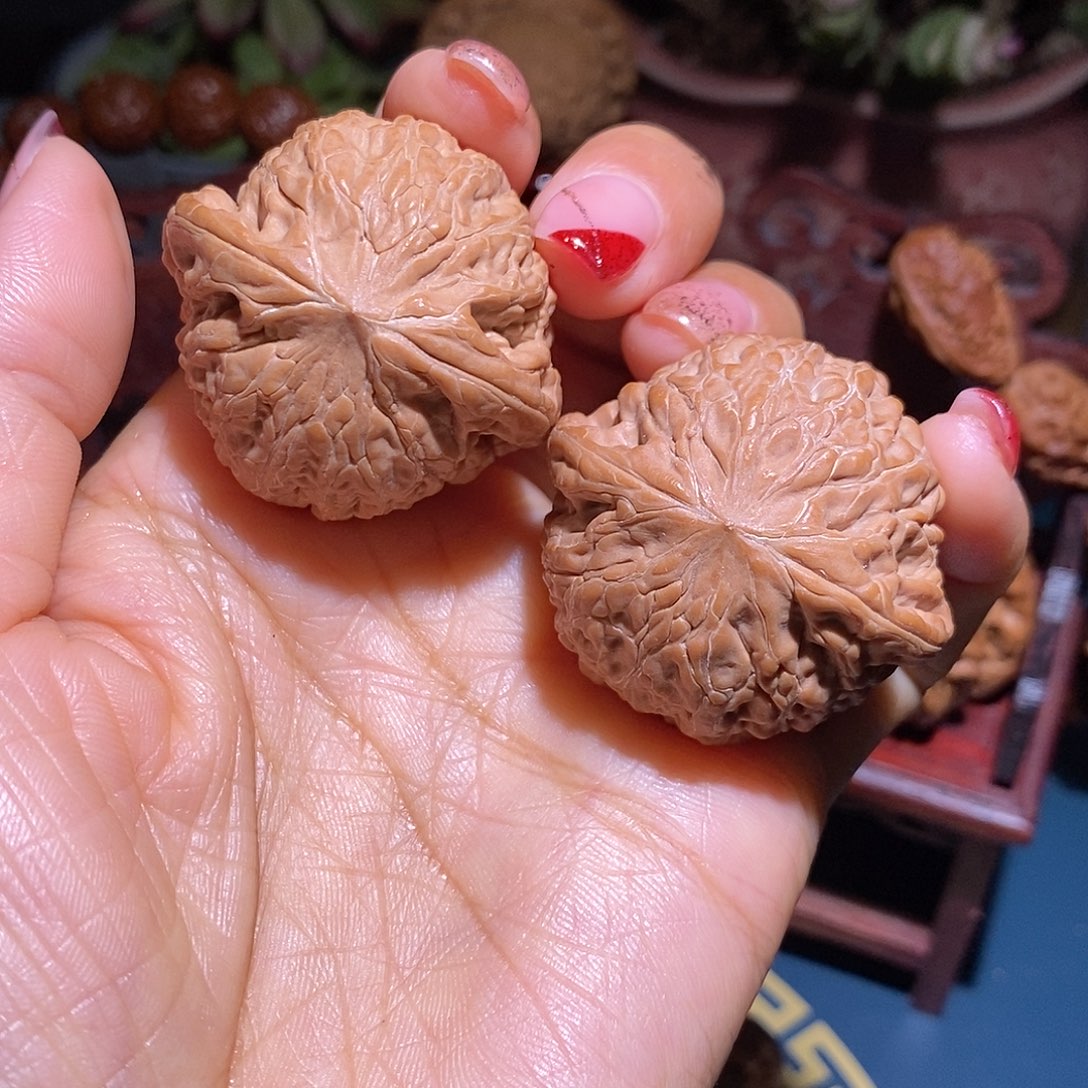 文玩核桃把件铁锤39.5全品