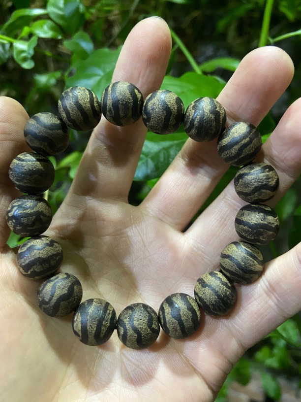 【土特产菇54】净含量18g