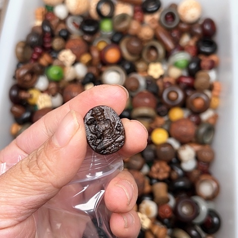 大叶紫檀（黑酸枝木类）Z*