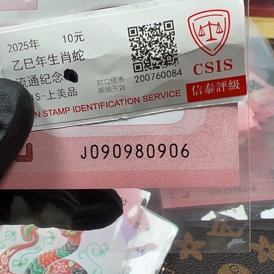 J090980906单张简易封装蛇