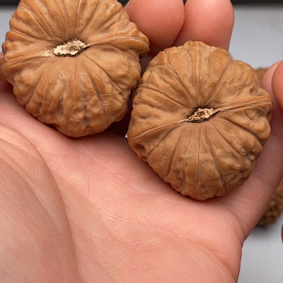 文玩核桃把件42南瓜墩