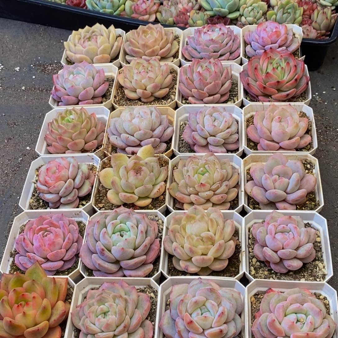 565的人在一起的时候我