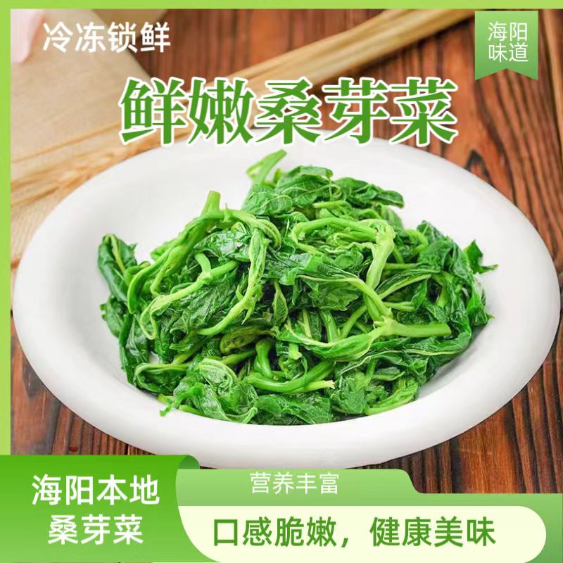 桑叶芽新鲜冷冻桑芽菜山东海阳凉拌嫩桑叶尖包子饺子馅半成品特色