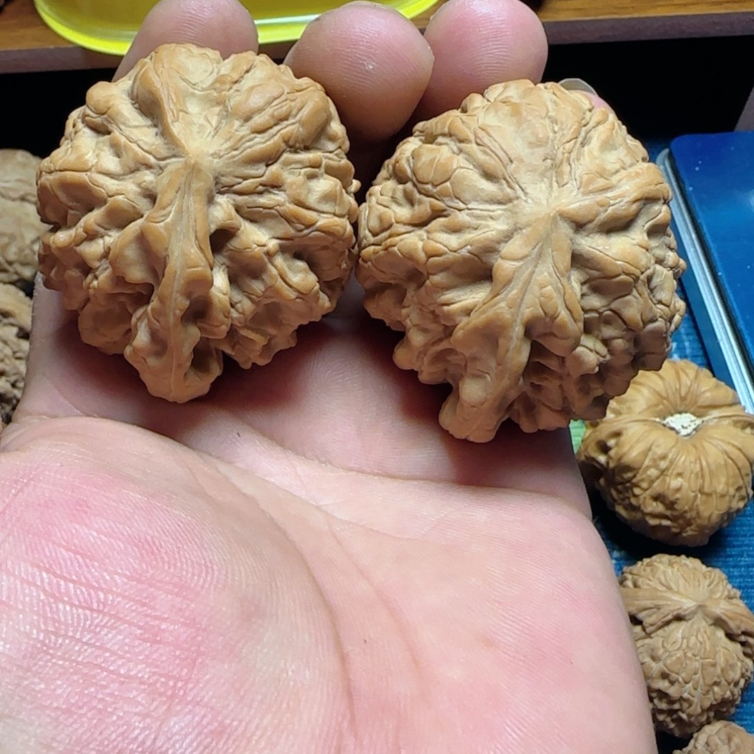 吊坠文玩核桃全品龙鼎一帆风顺