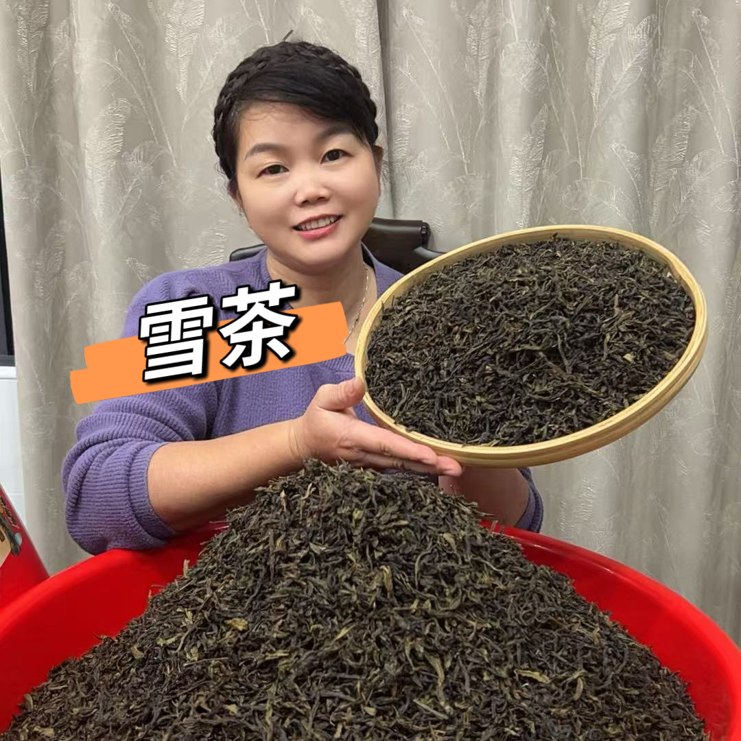 高山雪茶喉底回甘正宗大坪龙坑八仙茶客家潮汕土山茶