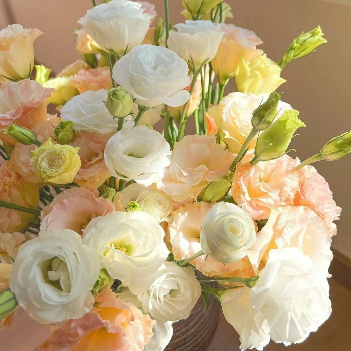 【洋桔梗400g】昆明鲜花批发次日达包邮