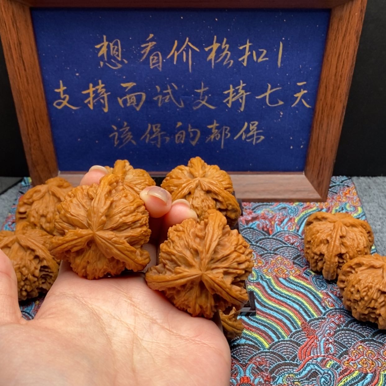 【闪购商品】野**奇白狮