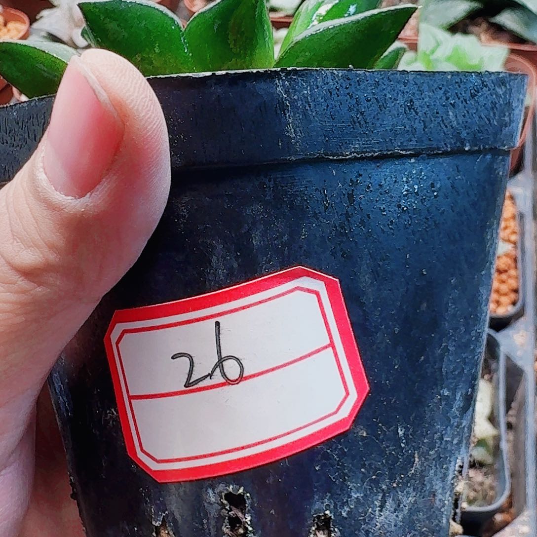 我***儿十二卷实生特选福利