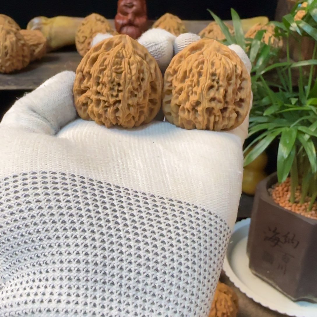 文玩核桃把件南将石38尺全品