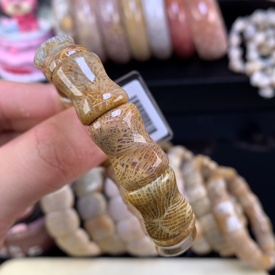 硅化珊瑚（珊瑚玉）未镶嵌颈饰25号金凤尾