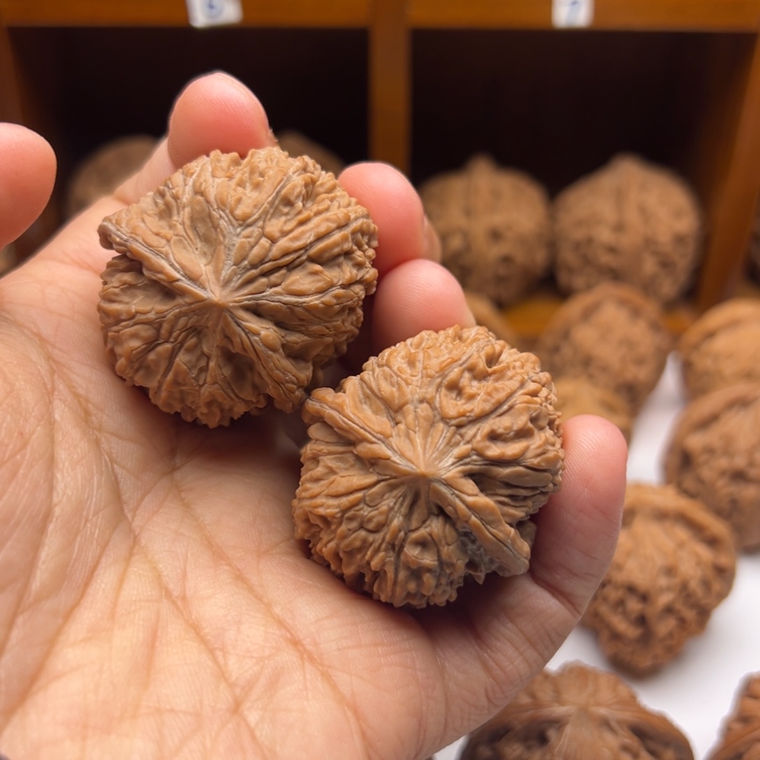 吊坠文玩核桃37龟背137狮子头