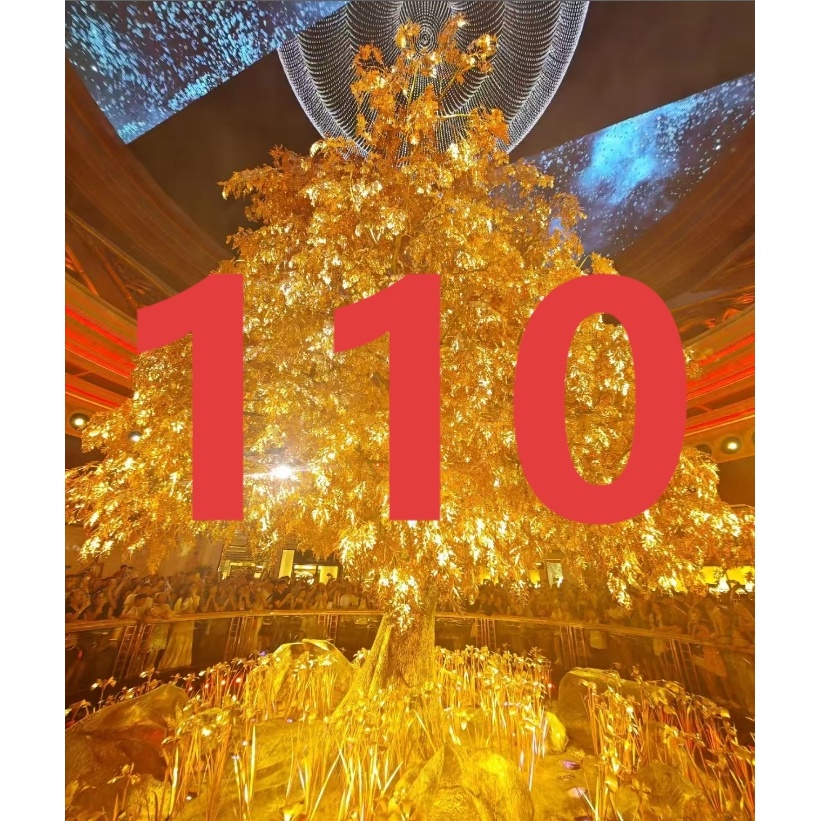 LW 编码110 儿童冬款加厚保暖羽绒服AA050