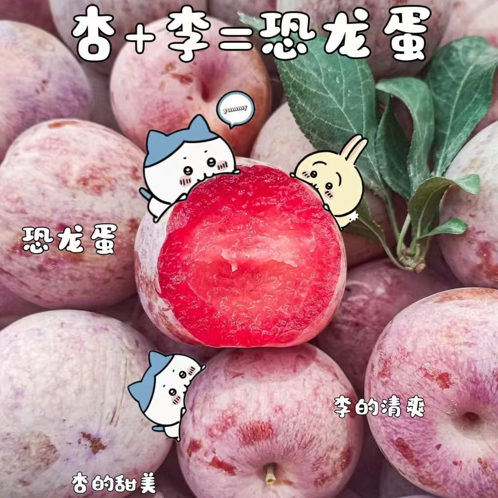 味帝恐龙蛋礼盒3.5斤毛重北京市