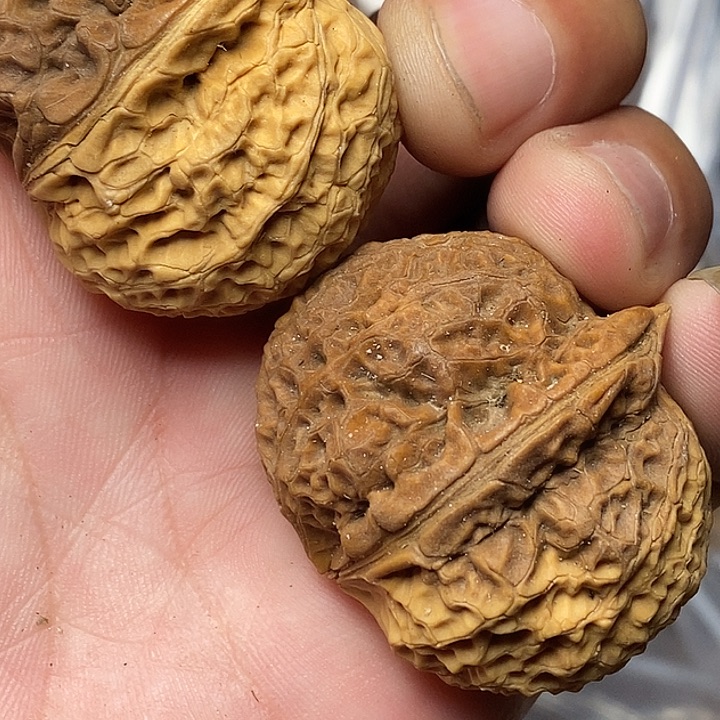 文玩核桃把件志成云铁文玩52