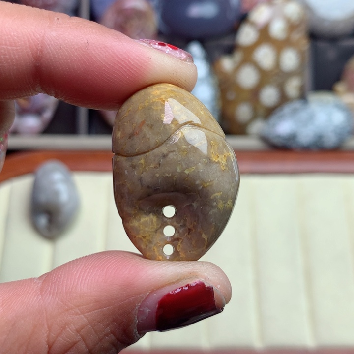 硅化珊瑚（珊瑚玉）颈饰未镶嵌