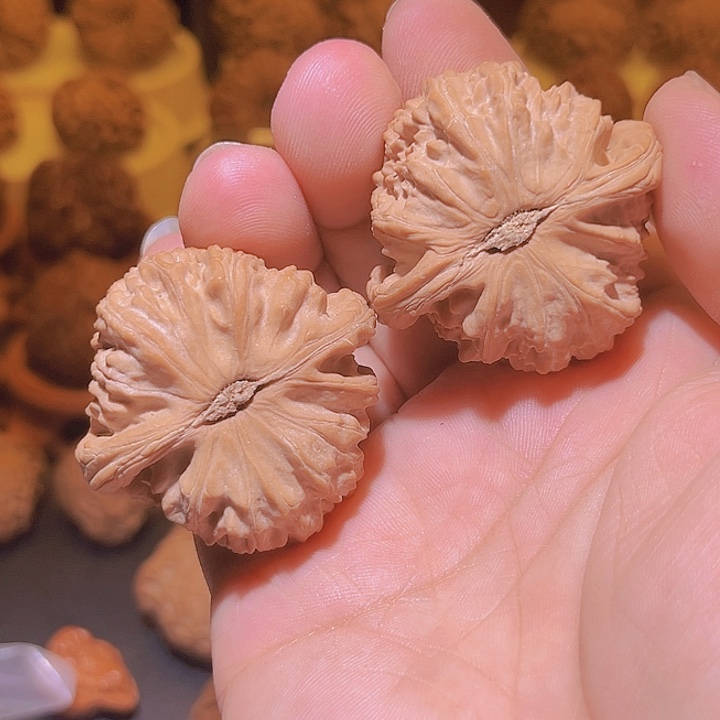 文玩核桃把件白狮子