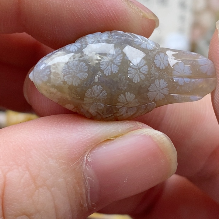 颈饰未镶嵌硅化珊瑚（珊瑚玉）小