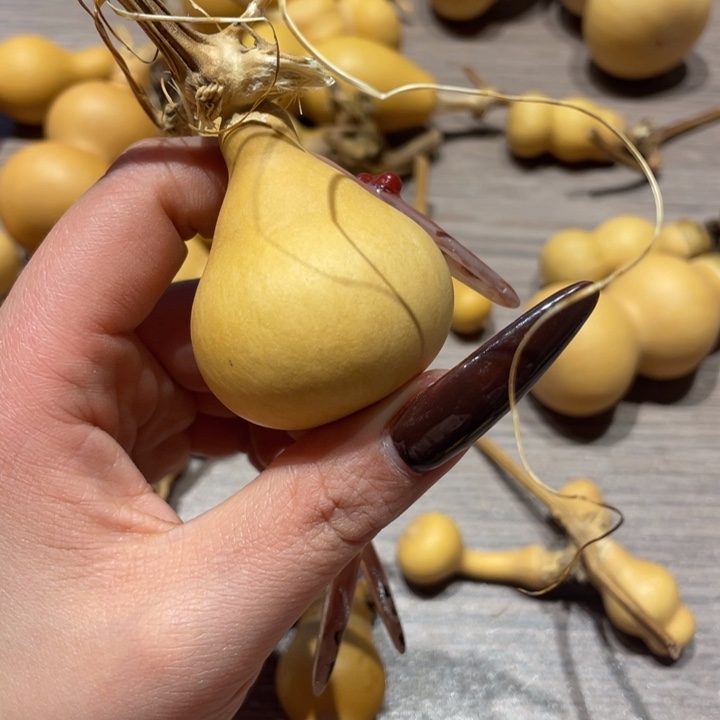 童***旧葫芦葫芦葫芦葫芦