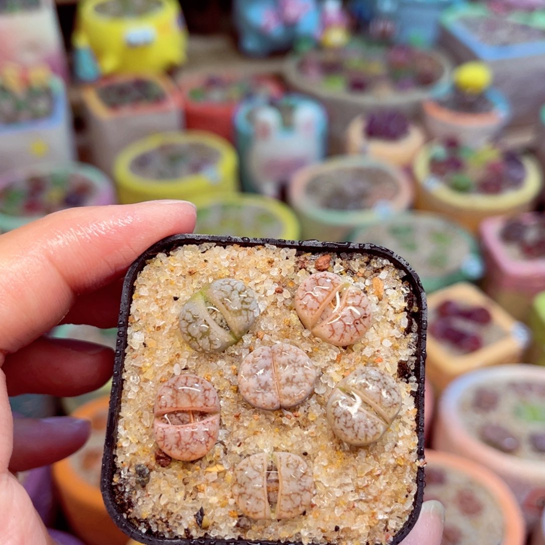 159。8888888888888888