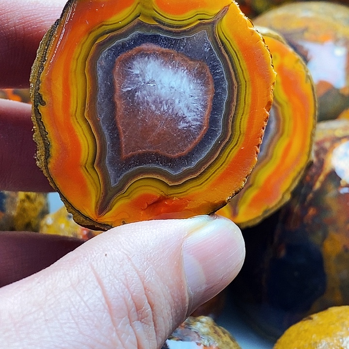 来***树定制玛瑙未镶嵌战国红