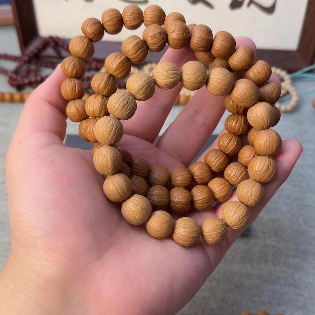 双鳍小南瓜两条，一条风羽