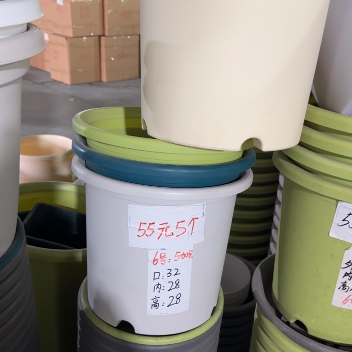 四季6#口径32无托果绿10个