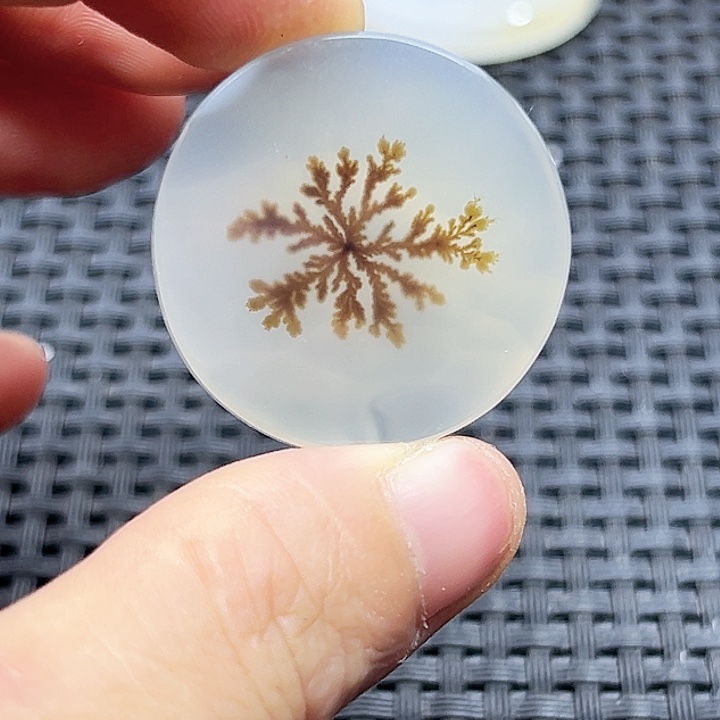 郭***明玛瑙/玉髓未镶嵌珠宝半成品