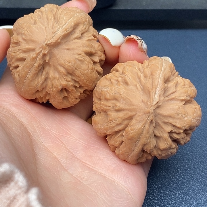 青***水霸王龙全品无刀休