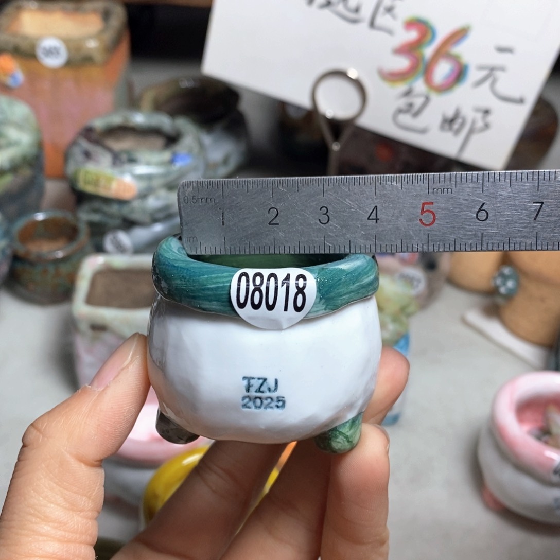 花盆双十二活动不退不换的原28元一个
