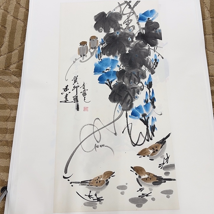 国画花鸟的翅膀是白色