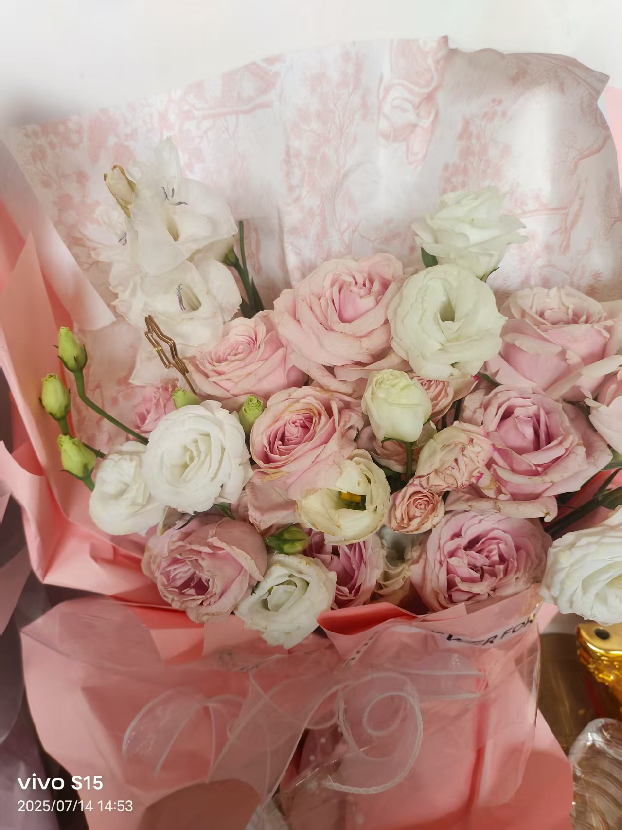 （直播专用链接下单）婴幼连体外出3号