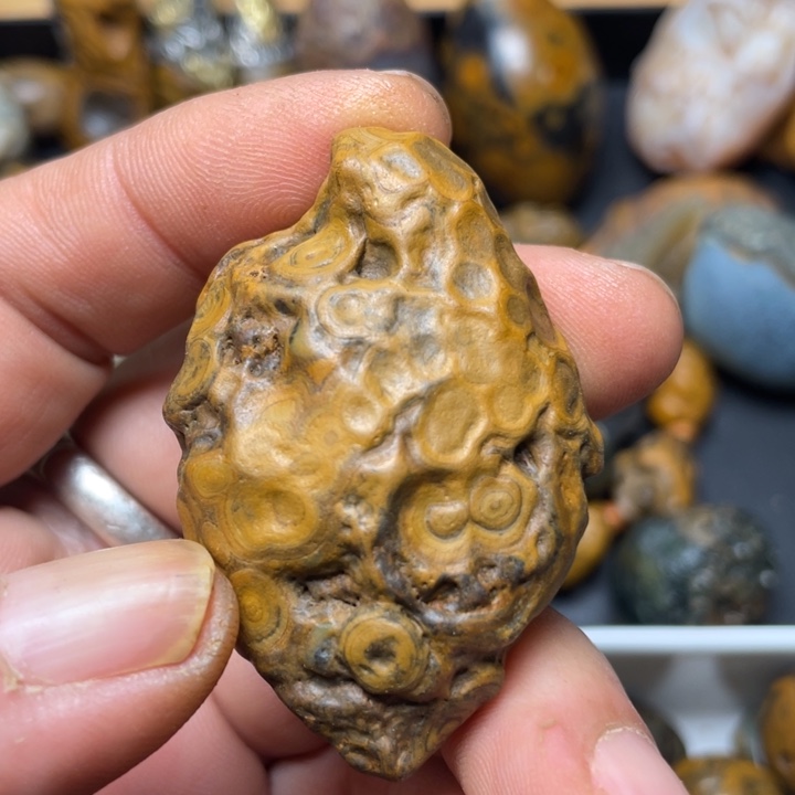 石材九眼石页岩钱币石41