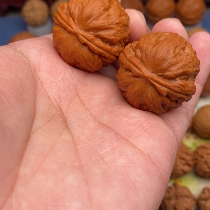 文玩核桃把件卧龙粗筋