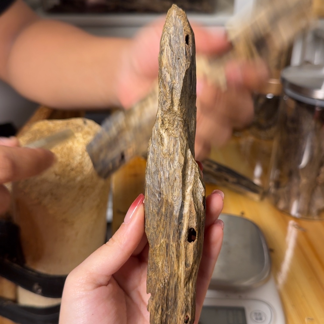 沉香陆河虫漏香34克