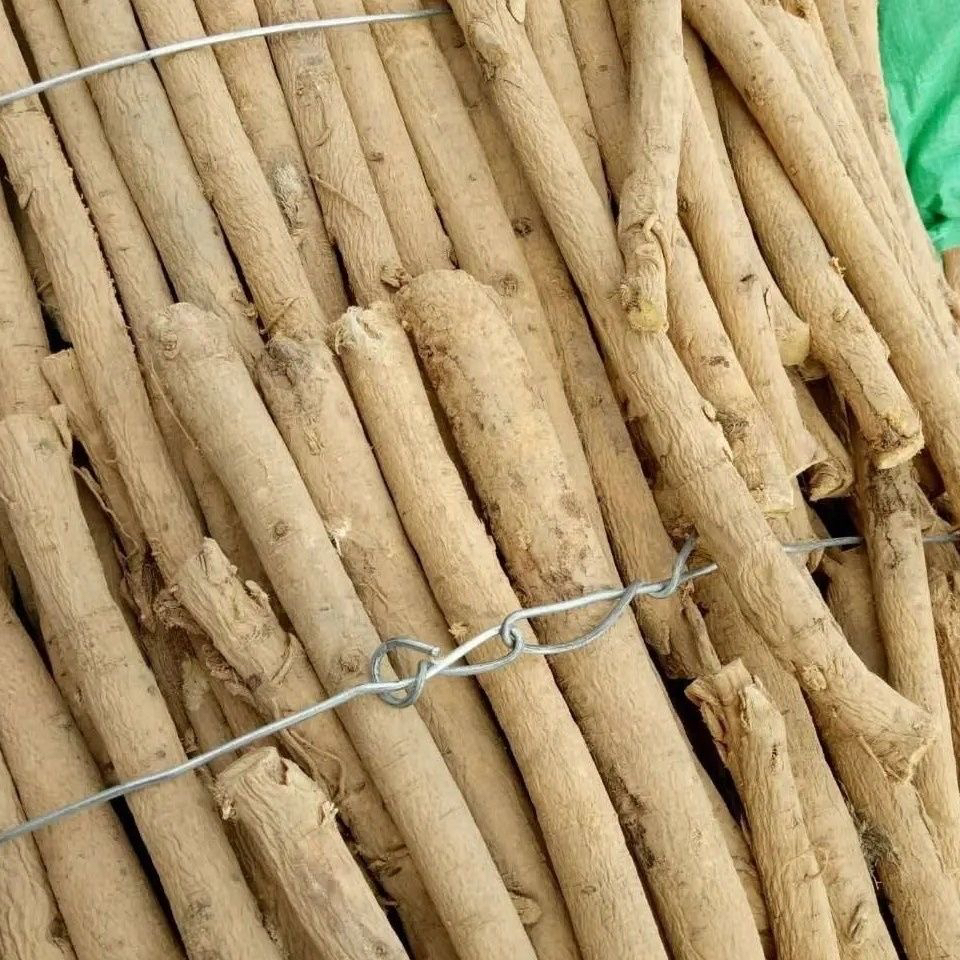 甘肃产地直销黄芪主根新货无硫正品北芪