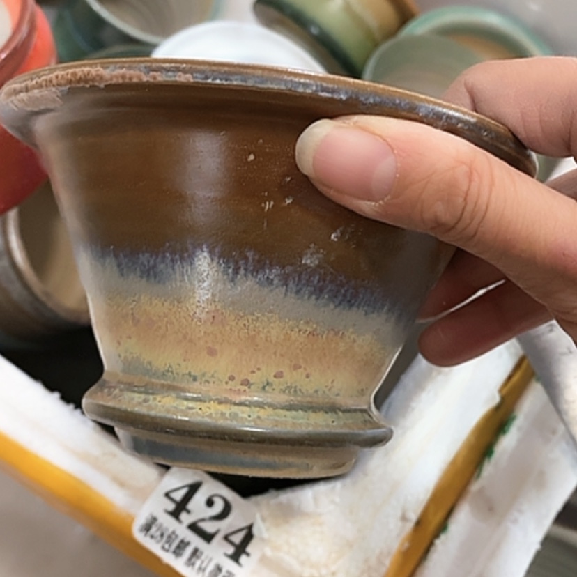 【闪购商品】红陶口10.5