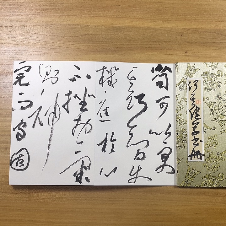 书法中书协会员作品