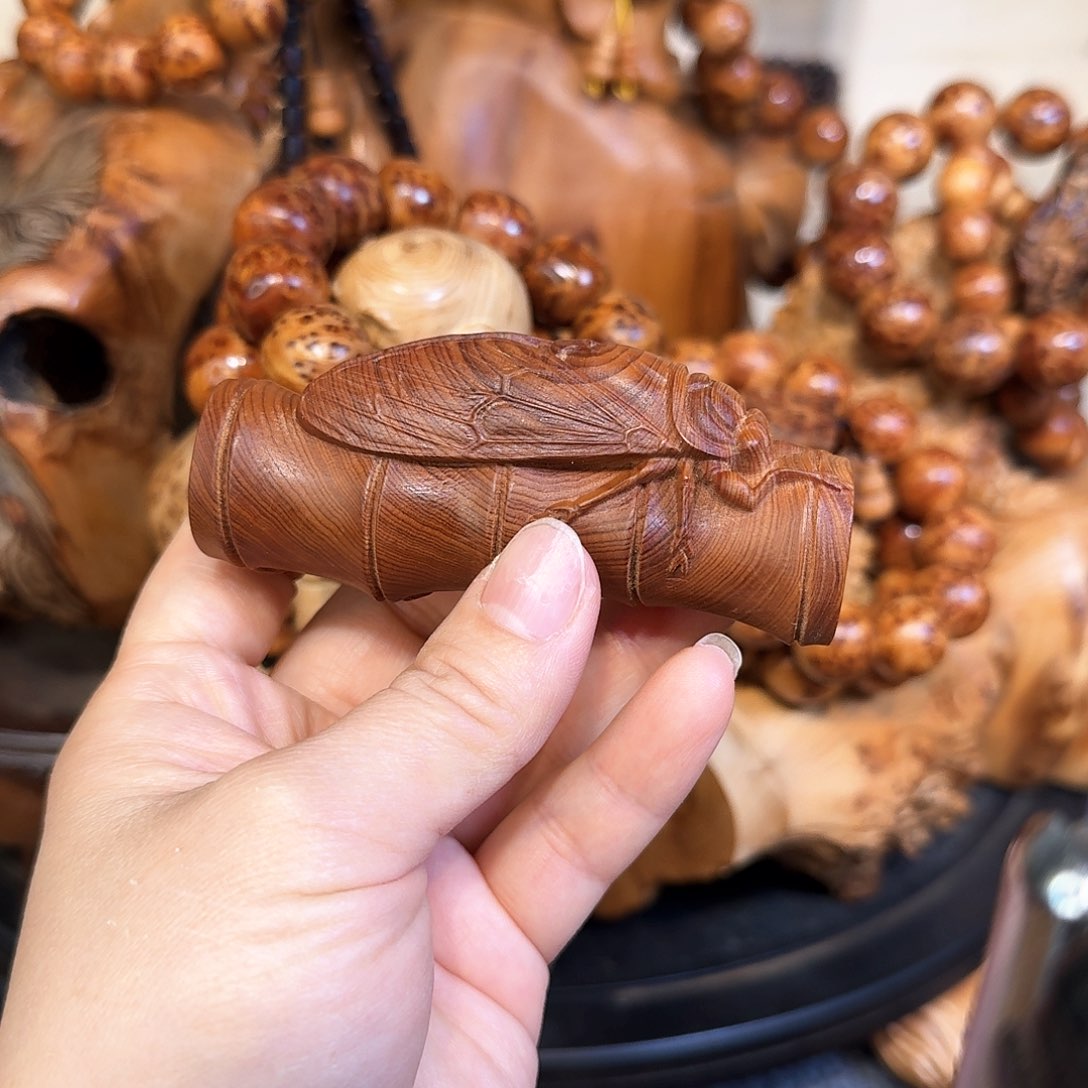 柏木（崖柏）11111111111