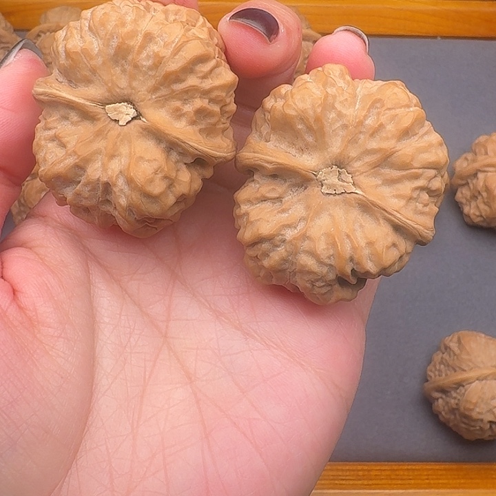 韭***叔39尺精品蛤蟆头一对