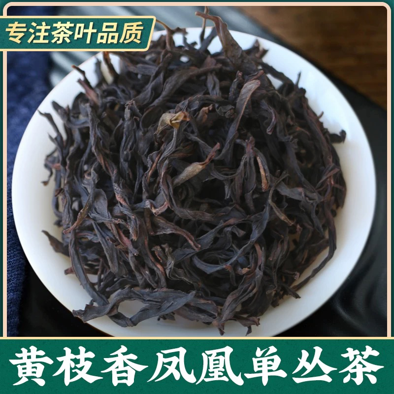 春茶凤凰单枞茶黄枝香乌岽单纵茶清香潮州凤凰单丛茶叶散装茶礼盒